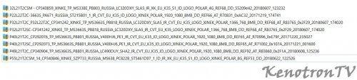 Подробнее о "Polar P22L22T2C, 32L21T2CSM, P32L21T2C, P40L21T2C, P49L21T2C, P55L21T2CSM USB ПО"