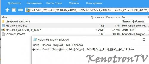 Подробнее о "Polar P24L5001, TP.MS3663S.PA671, V236BJ1-P01 - USB ПО"